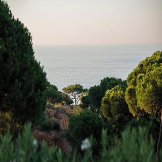 W Residences Algarve fotoÄŸrafÄ±