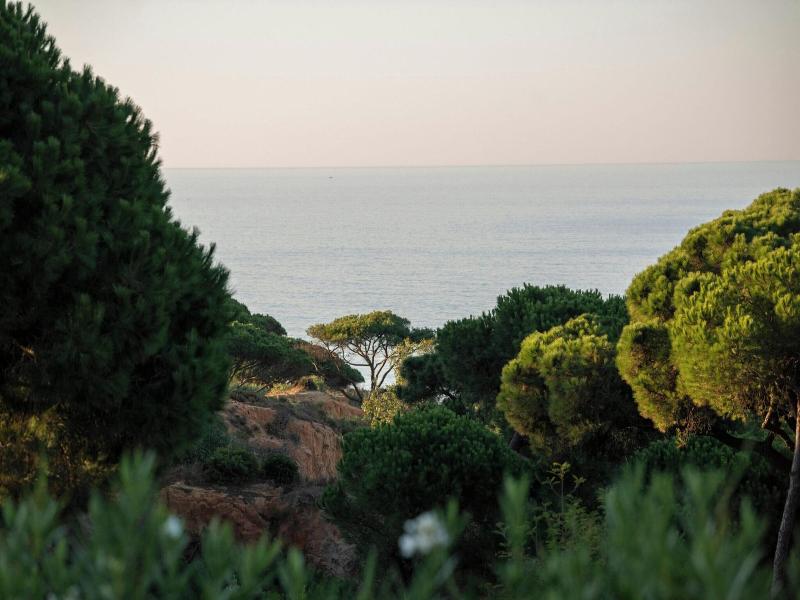 W Residences Algarve - Genel