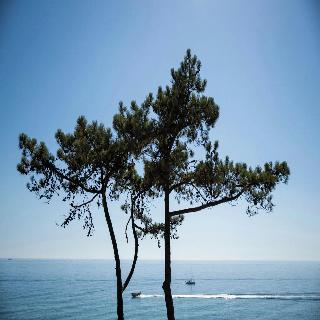 W Residences Algarve fotoÄŸrafÄ±