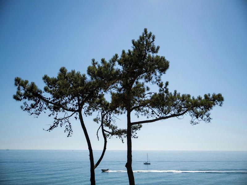 W Residences Algarve - Genel