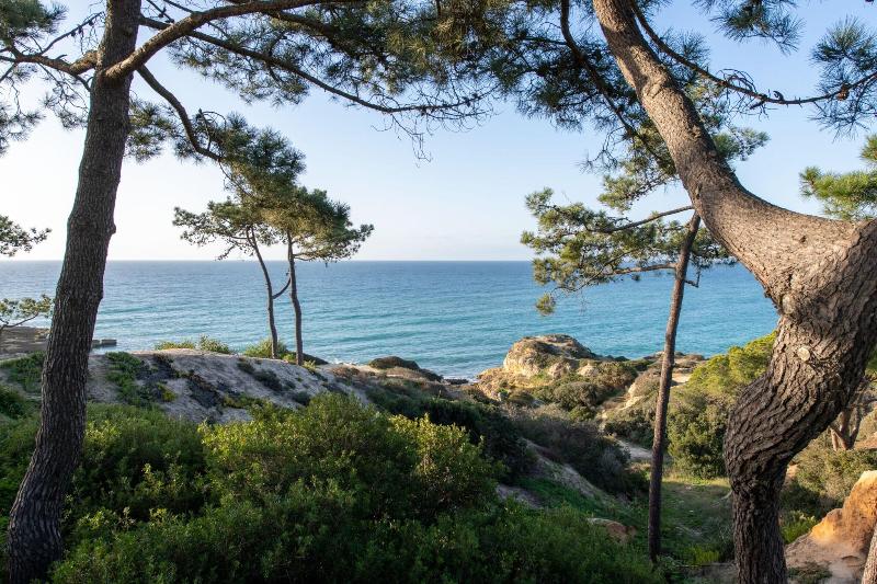 W Residences Algarve - Genel