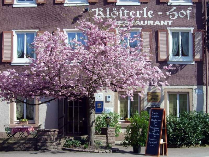 Klosterle Hof - Genel