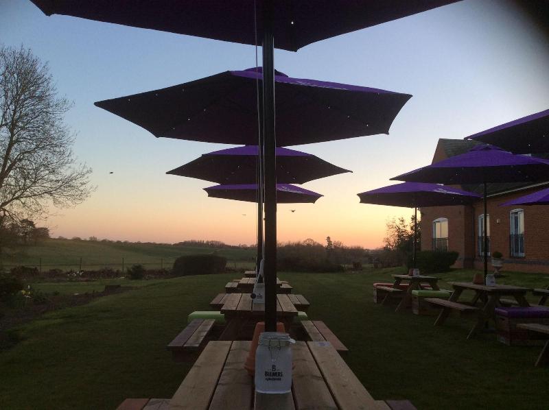 The Strawberry Bank - Genel