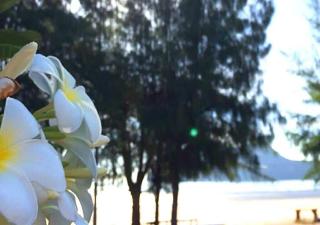 Baan Golden Resort fotoÄŸrafÄ±