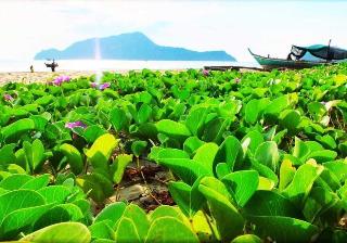 Baan Golden Resort fotoÄŸrafÄ±