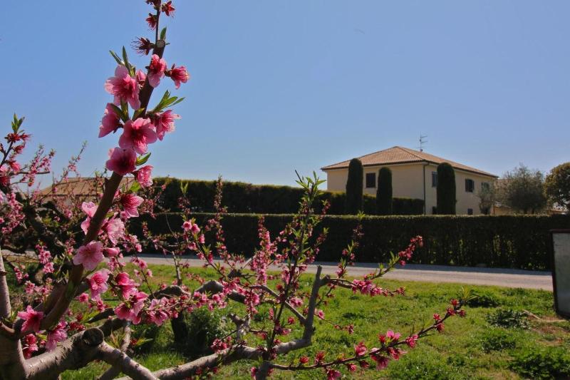 Agriturismo Porta Sirena - Genel