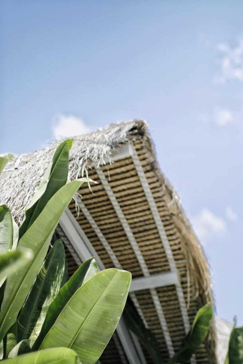 White Palm Hotel Bali - Oda