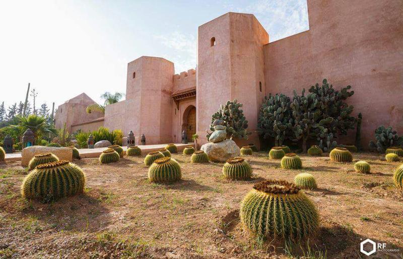 Palais Musee Claudio Bravo - Genel