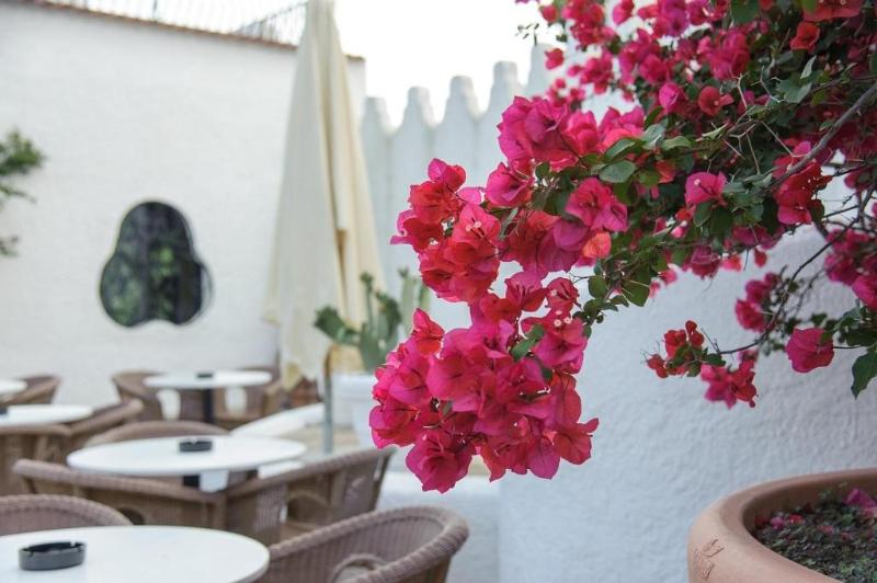 Hotel Baia Delle Zagare - Teras