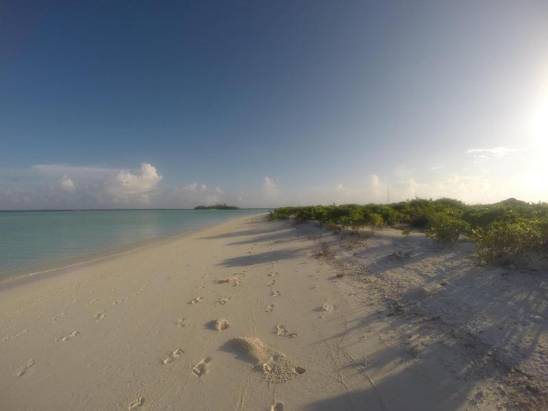 Rasdhoo Coralville Hotel - Plaj