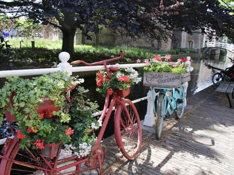 Ibis Budget Reims Thillois - Genel