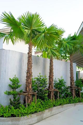 Panwaburi Beachfront Resort Sha Extra Plus fotoÄŸrafÄ±