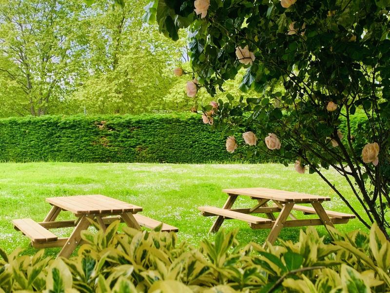 The Originals Access Hotel Innostar Toulouse Sud - Genel