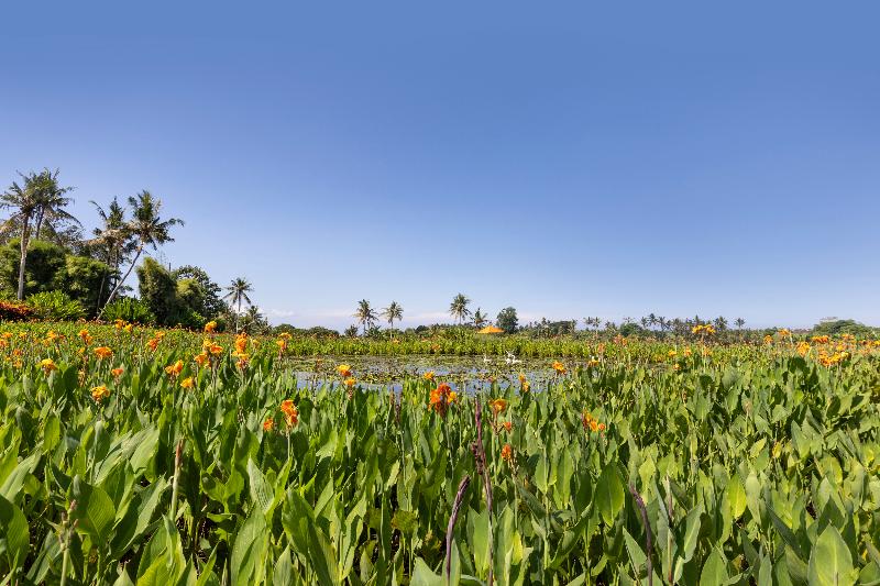 Swan Paradise A Pramana Experience - Genel