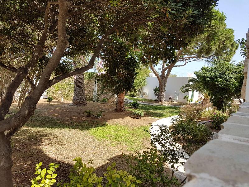 Hotel Naxos Beach - Genel