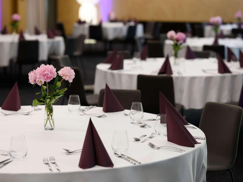 Mercure Debrecen - Toplantı