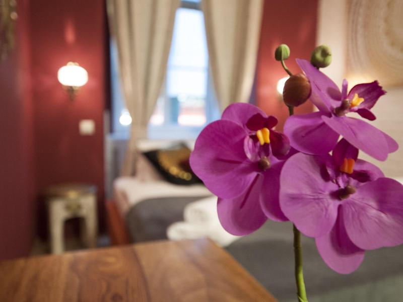 Urban Boutique Hotel - Oda