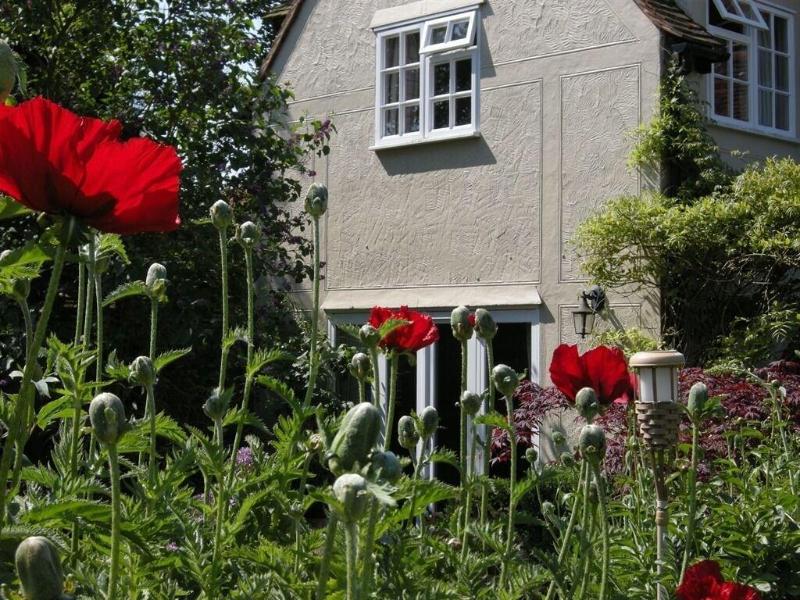 Motts Cottage - Genel