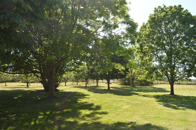 Orchard Lodge - Genel