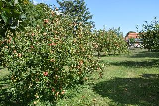 Orchard Lodge fotoÄŸrafÄ±
