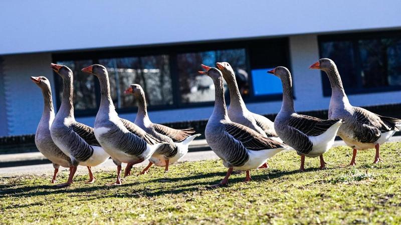 AmrÃ¢th Apart Hotel Schiphol Badhoevedorp - Aktivite