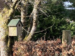 No 4 old Post Office row Isle of Skye - Book Now! fotoÄŸrafÄ±