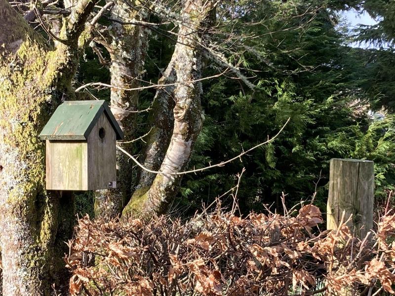 No 4 old Post Office row Isle of Skye - Book Now! - Genel