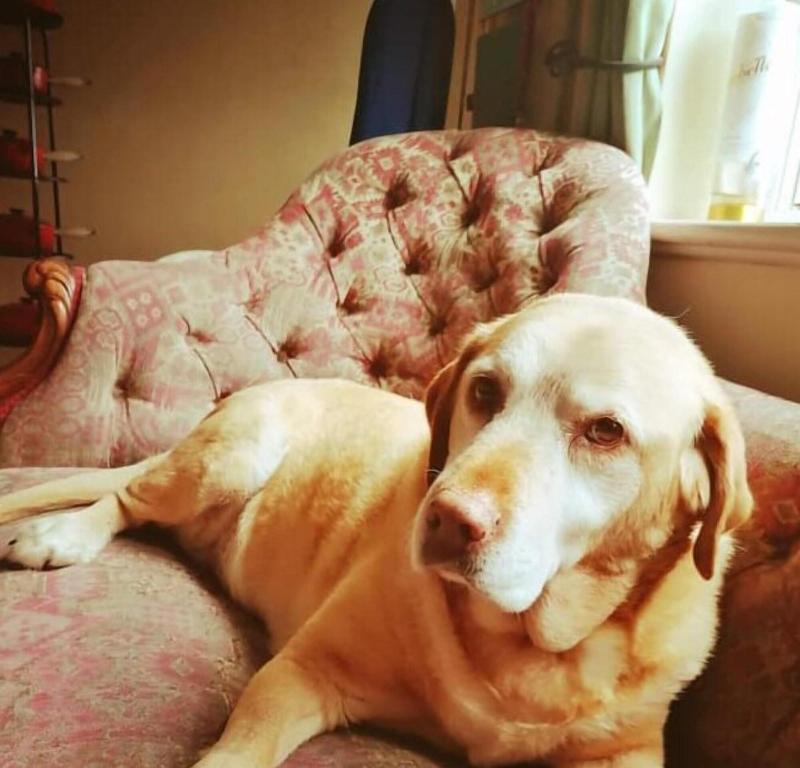 Setcops Farm Holiday Cottages - Lobi