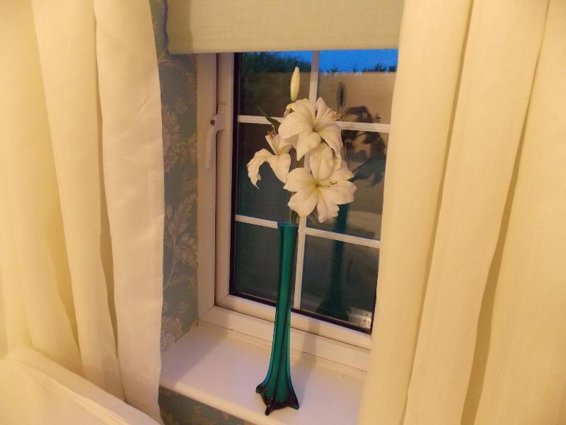 Craig Eithin B & B Holyhead - Oda