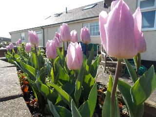 Craig Eithin B & B Holyhead fotoÄŸrafÄ±