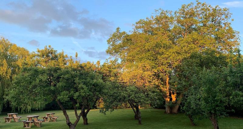 Hope Orchard Bed & Breakfast - Genel