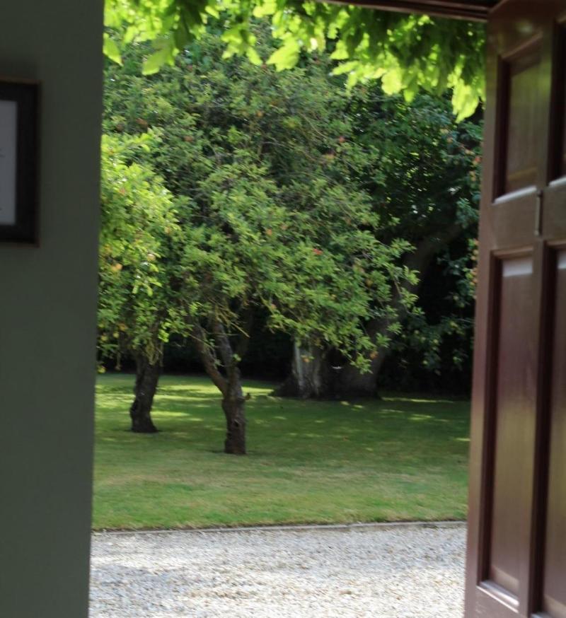 Hope Orchard Bed & Breakfast - Genel