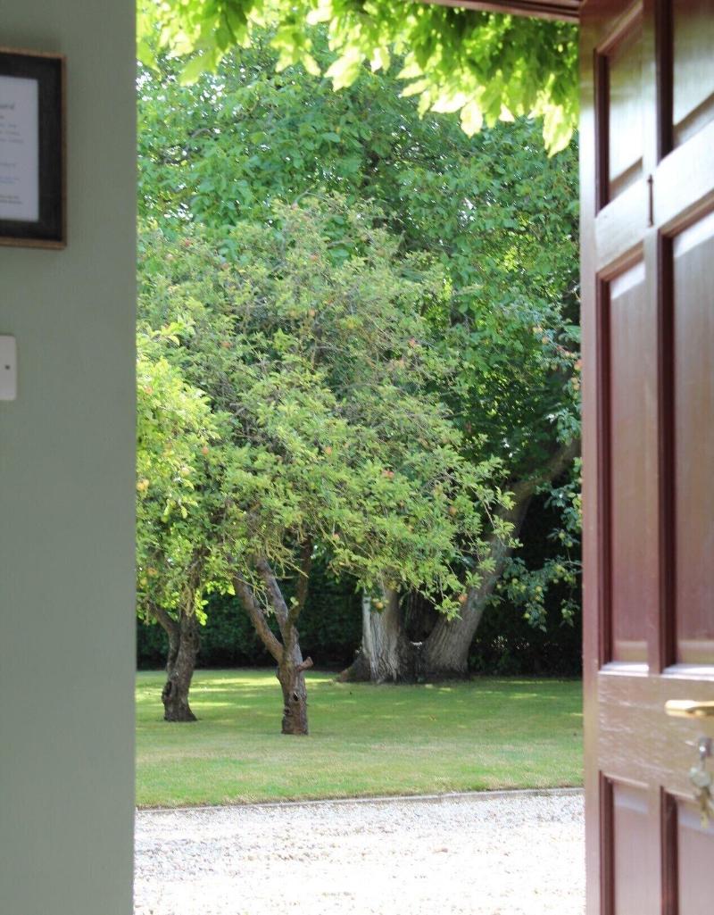 Hope Orchard Bed & Breakfast - Oda