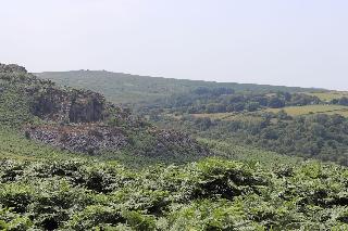 The Rock Inn fotoÄŸrafÄ±