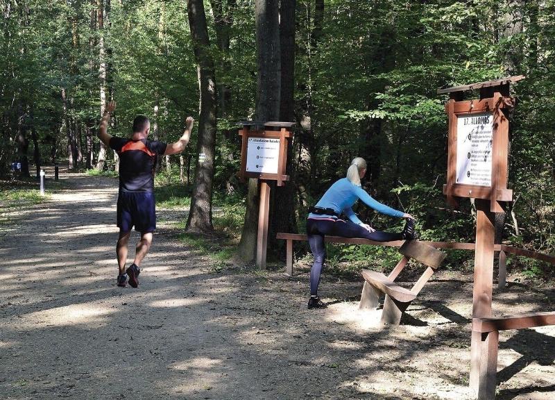 VadÃ¡szkÃ¼rt PanziÃ³ - Aktivite