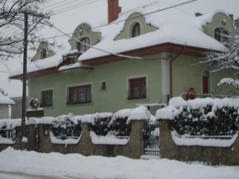 VadÃ¡szkÃ¼rt PanziÃ³ - Genel