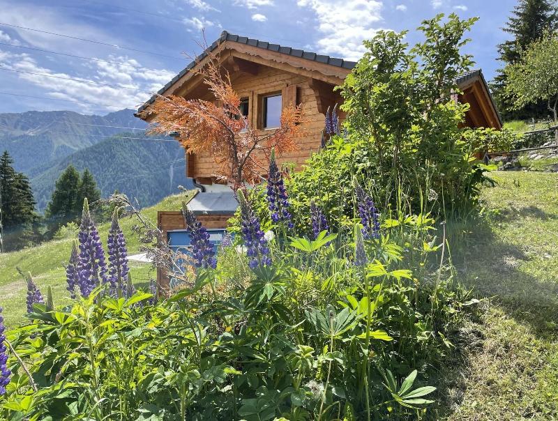 Chalet Belle Roche Recently Renovated Jacuzzi - Genel