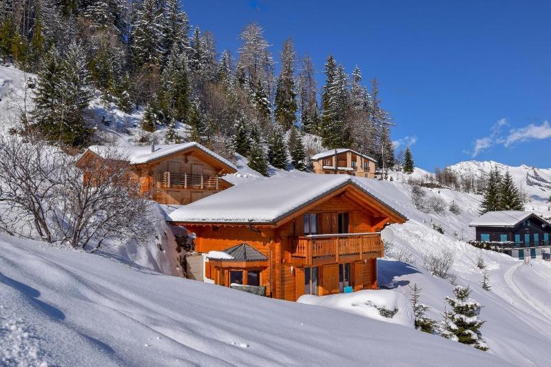 Chalet Belle Roche Recently Renovated Jacuzzi - Genel