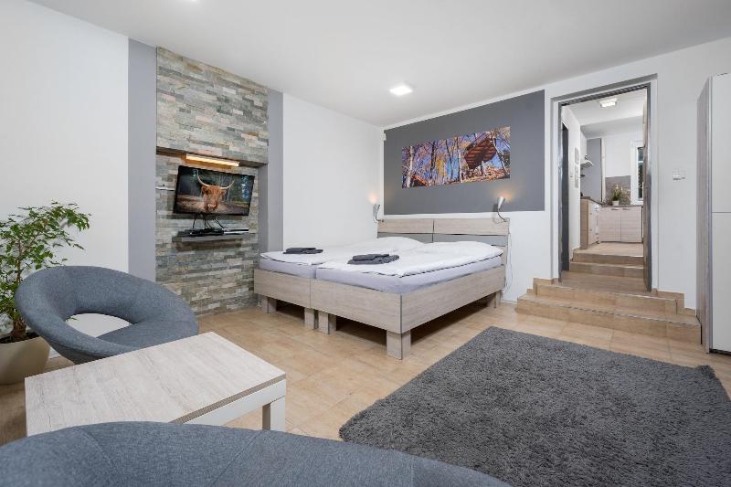 Apartma SunGarden Liberec - Oda