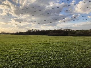 Stifford clays farm hotel fotoÄŸrafÄ±