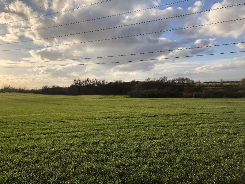 Stifford clays farm hotel - Genel