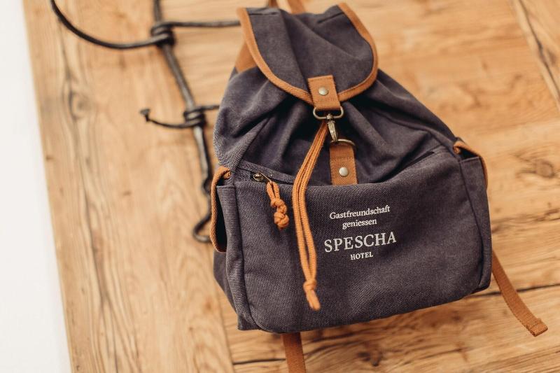 Haus Spescha - Aktivite
