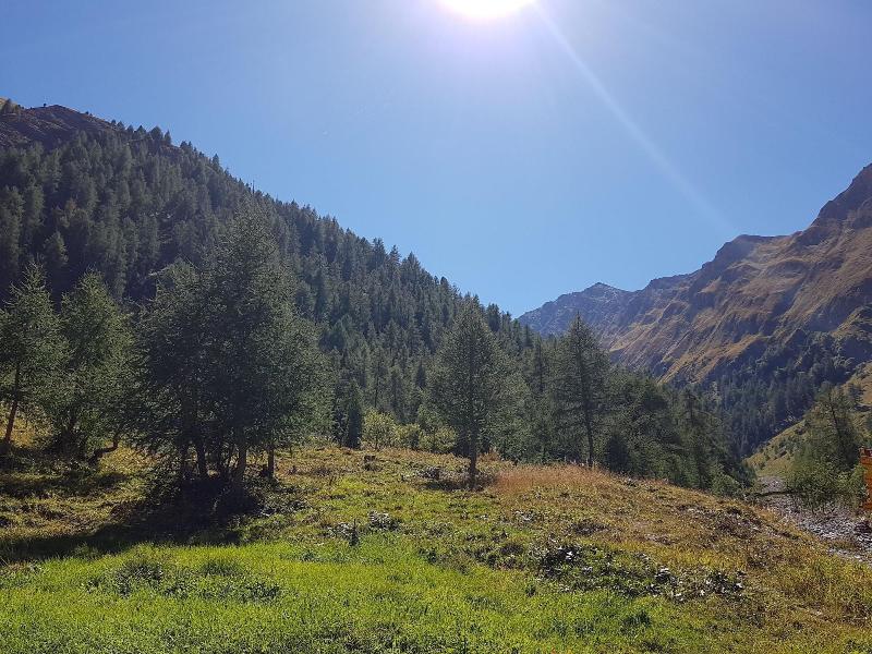 Apart-Garni Motnaida - Aktivite