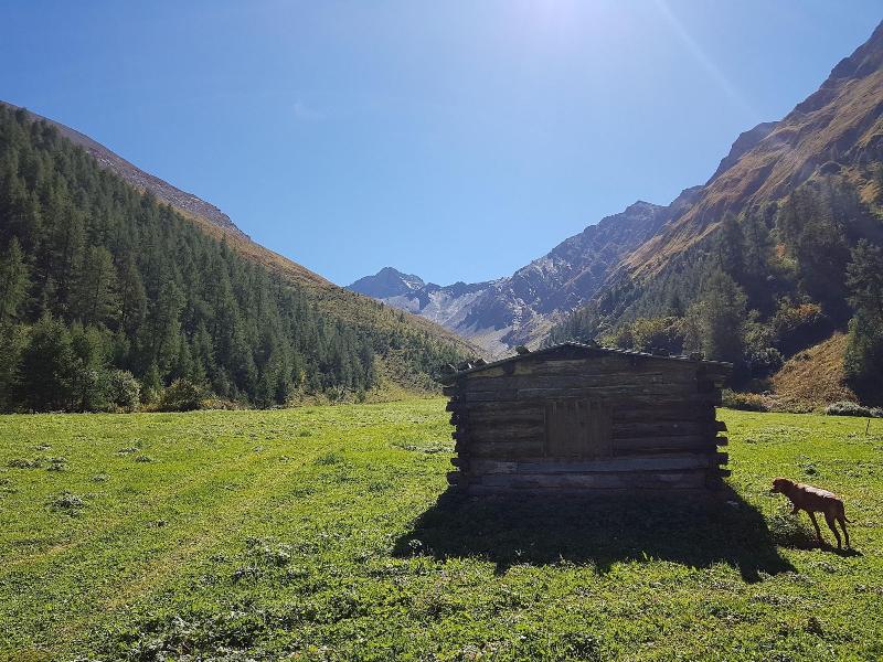 Apart-Garni Motnaida - Aktivite