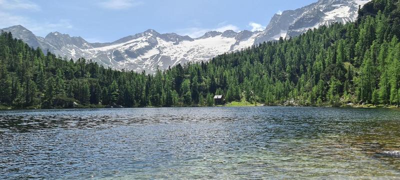 GRETI - Alpine Boutique Hotel by Gruber - Aktivite