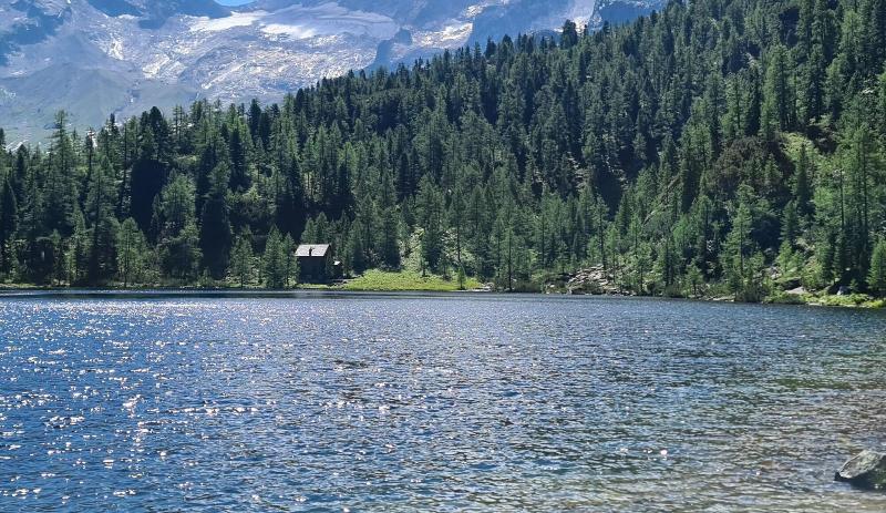 GRETI - Alpine Boutique Hotel by Gruber - Genel