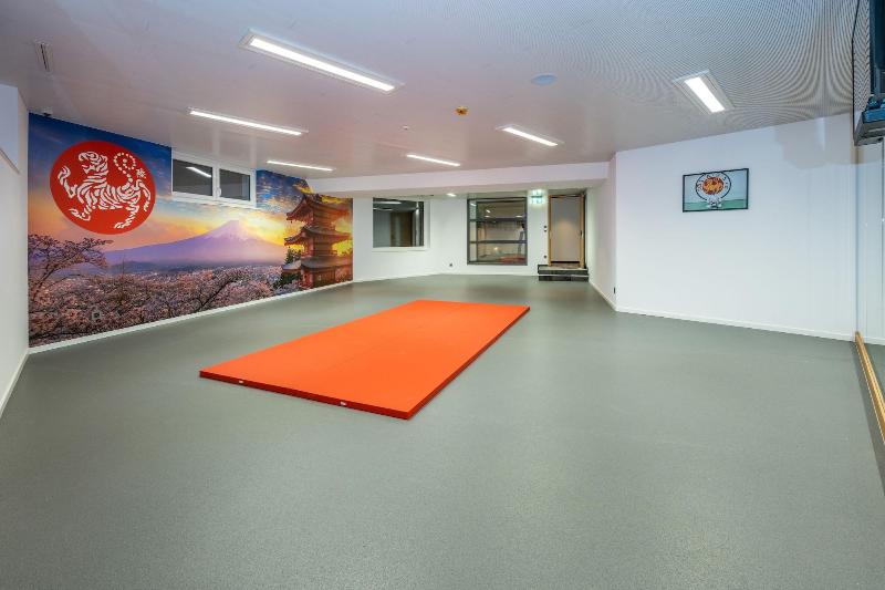 Luxury Residence Colosseo Zermatt - Aktivite