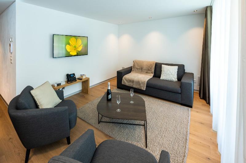 Luxury Residence Colosseo Zermatt - Oda