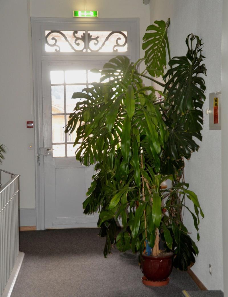 Hotel Bahnhof - Aktivite
