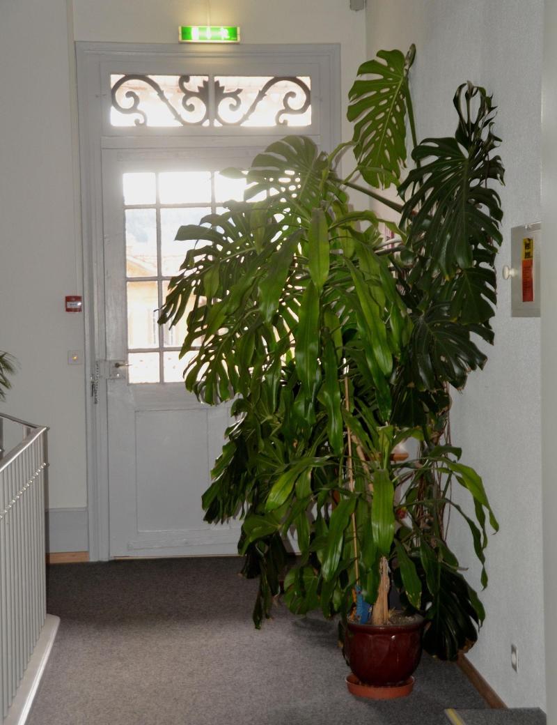Hotel Bahnhof - Oda